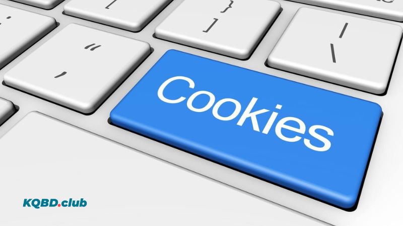 Website có sử dụng cookie để tối ưu khi truy cập